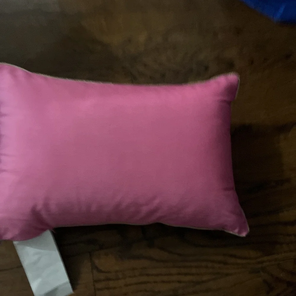 ISAAC MIZRAHI Pink MON CHERI Pillow Embroidered Watercolor Vibe